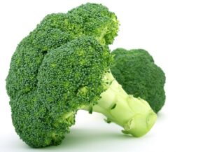 Close up image of a green piece of broccoli